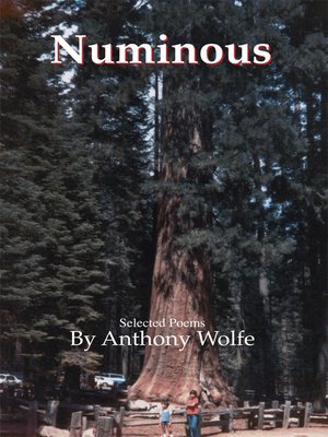 cover image of Numinous